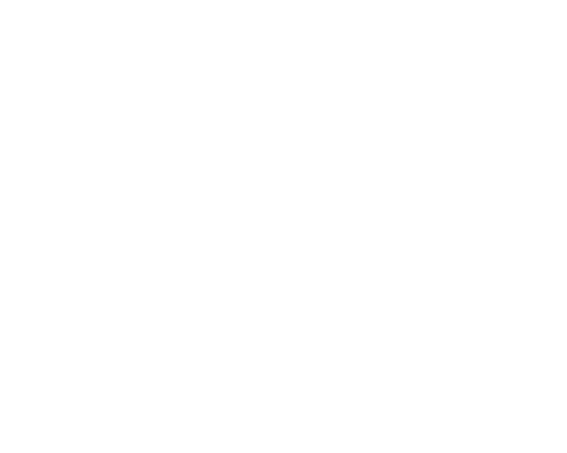 Parallel Solutions Logo