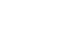 Parallel Solutions Logo